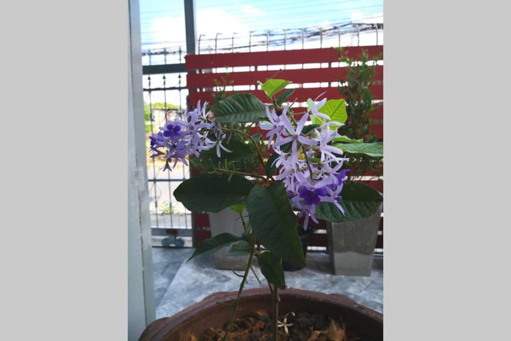 Bluebell House Hatyai - Cosy 3 Bedrooms For 10 Pax - 9 Mins Drive To Lee Grd Ban Kho Hong Esterno foto